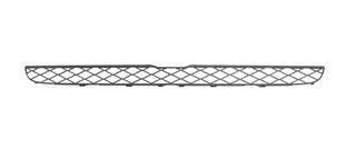 voorbumpergrille, boven BMW X5 E70, 2007-2010
