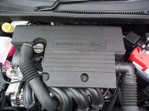 Pipercross Ford Fiesta Mk6 1.4 16v 03/02-Standard Luchtfilter