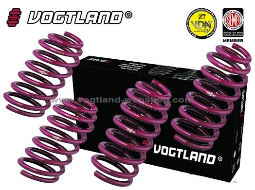 Verlagingsveren VW Passat, Typ 3B, 3BG (B5), Sedan, 1.6, 1.8 T,