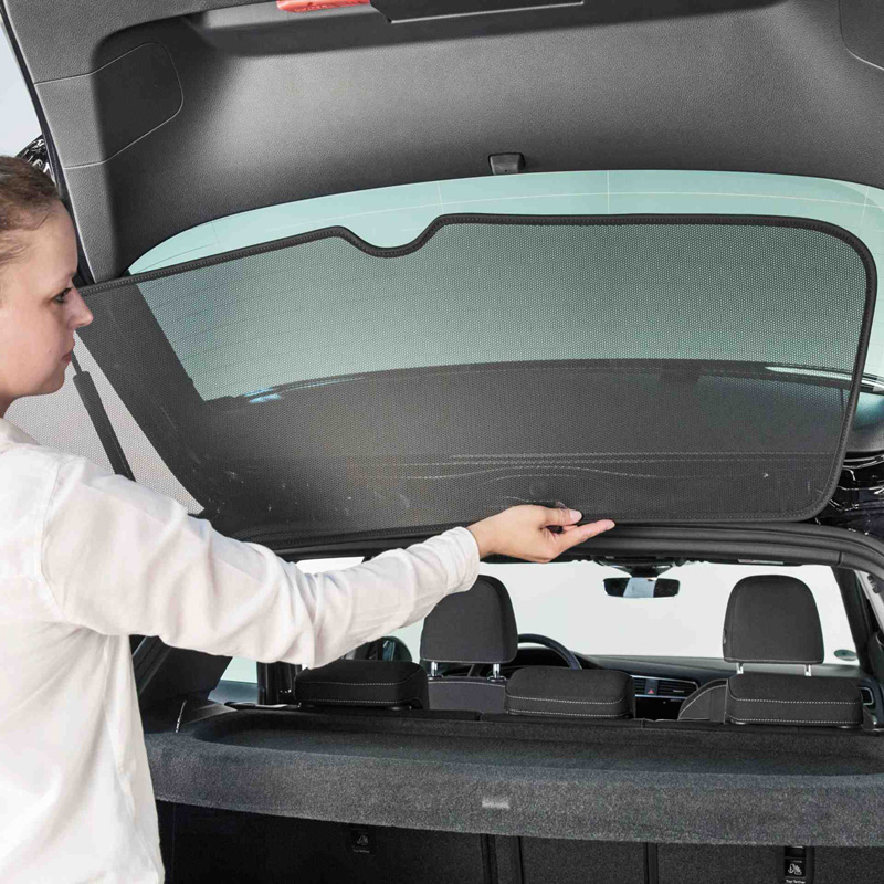 SunClip Zicht- & Zonwering  Cupra Tavascan (KR1) 2024-