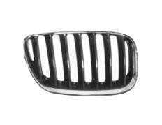 grille, links BMW X5 E53, 2003-2007