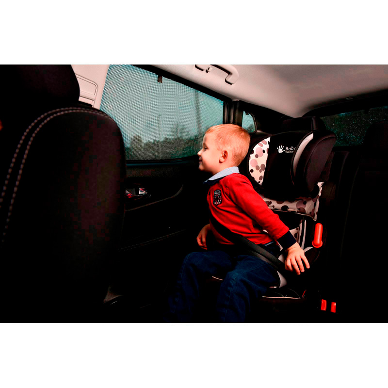 Set Car Shades (achterportieren)  Toyota Sienna (XL30) 2011-2020 (2-delig)