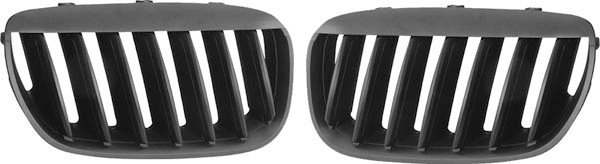Grill Nieren BMW X5 03-07 Zwart
