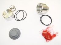 Revisie Set Forge Valves CL007P