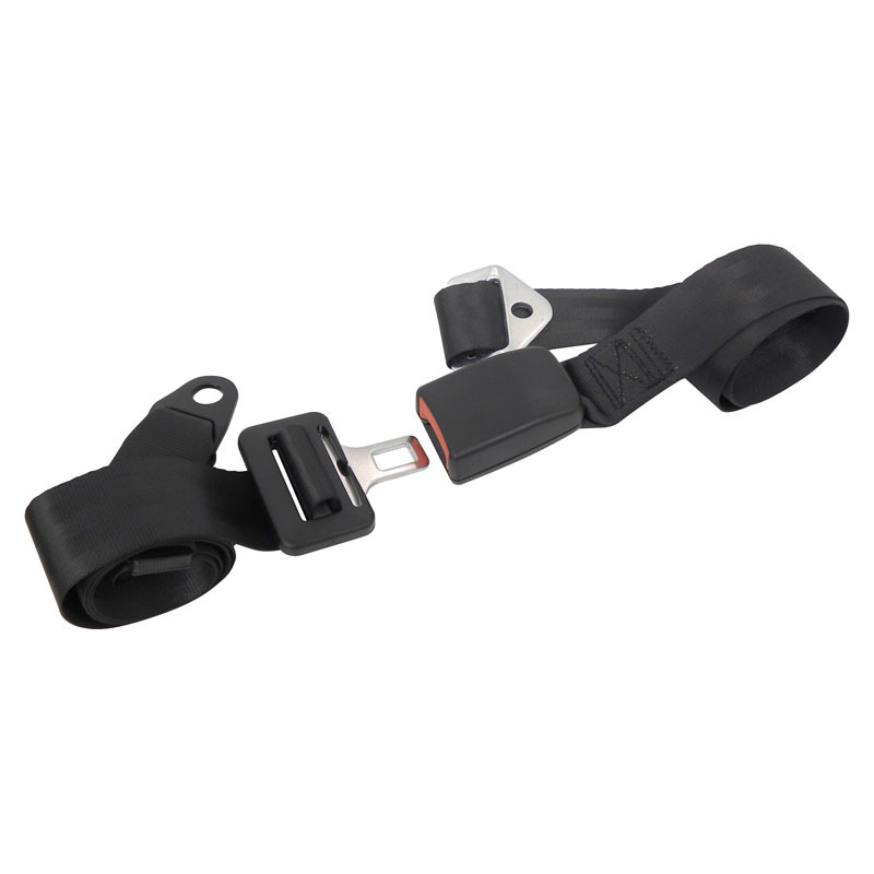 Carpoint Gordel 2-punts - Verstelbaar 190cm