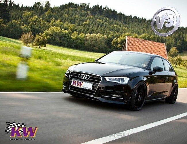 Schroefset KW V3 inox Opel Insignia Sports Tourer OG-A 1.6 10/20