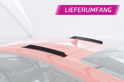 Dakvinnen Audi TT / TTS / TT RS FV 8S Coupé – CSR Automotive Racing Vinnen glanzend zwart