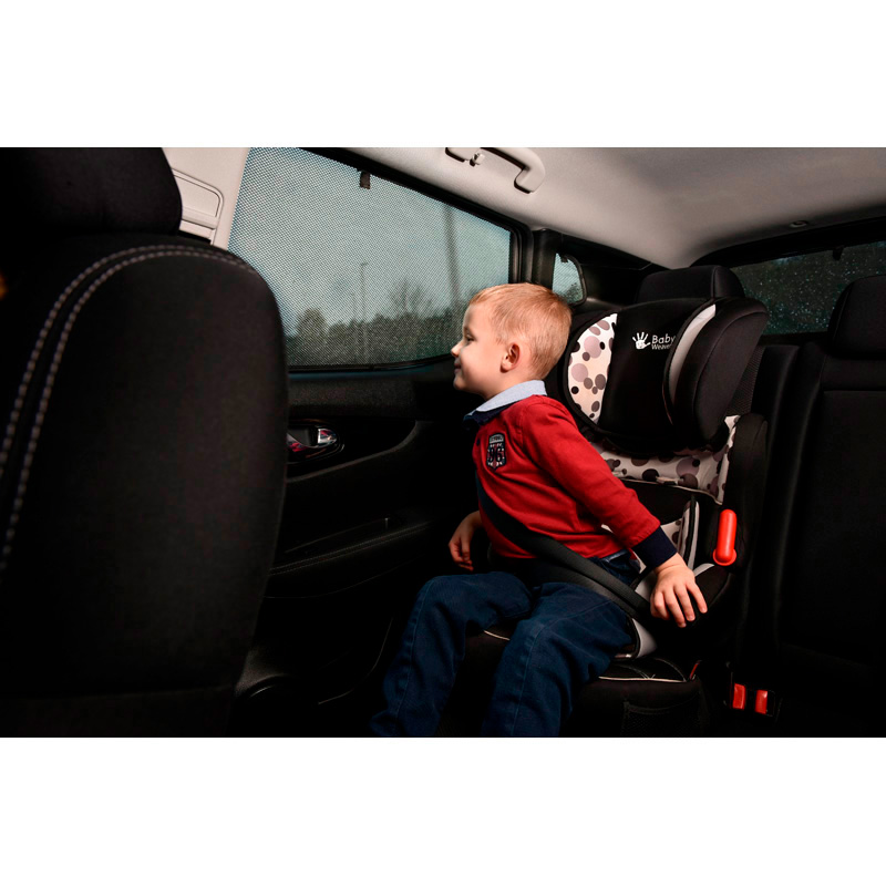 Set Car Shades (achterportieren)  Renault Scénic E-Tech 2024- (2-delig)